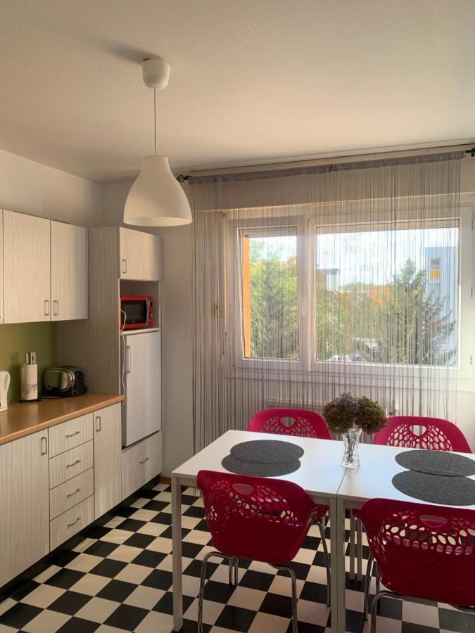 Bel Appartement near Bâle Mulhouse Airport Saint-Louis  Exterior foto